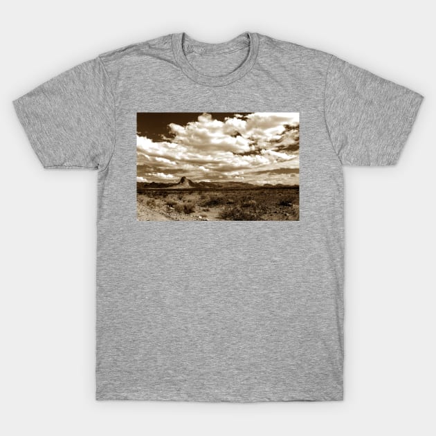 Arizona Landscape T-Shirt by Rob Johnson Photography